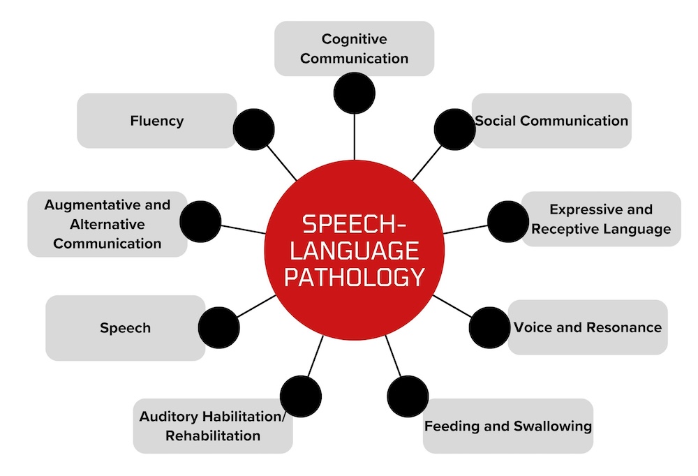 Graphic of the nine practice areas of speech-language pathology: auditory habilitation/rehabilitation, augmentative and alternative communication, cognitive communication, expressive and receptive language, feeding and swallowing, fluency, social communication, speech, and voice and resonance.